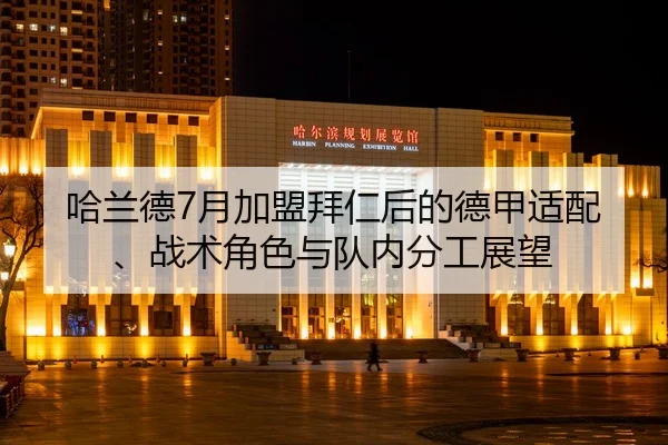 ha-lan-de-yue-jia-meng-bai-ren-hou-de-de-jia-shi-pei-zhan-shu-jue-se-yu-dui-nei-fen-gong-zhan-wang-2-754.jpg